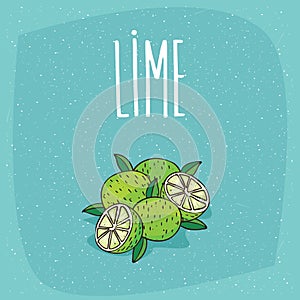 Isolated ripe lime fruits whole and cut