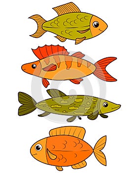 Isolated river fish. Set of freshwater aquarium cartoon fishes. varieties of ornamental popular color fish. Flat design