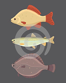 Isolated river fish. Set of freshwater sea cartoon fishes.