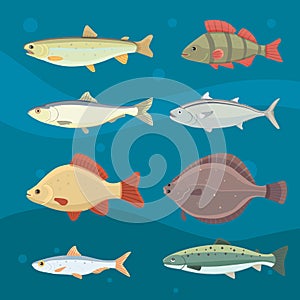 Isolated river fish. Set of freshwater sea cartoon fishes. Fauna ocean vector illustration