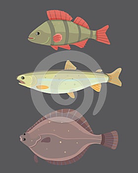 Isolated river fish. Set of freshwater sea cartoon fishes. Fauna ocean vector illustration