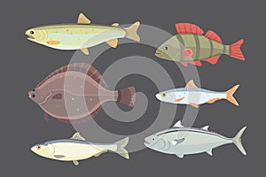 Isolated river fish. Set of freshwater sea cartoon fishes. Fauna ocean vector illustration