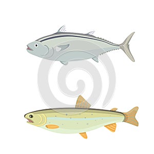 Isolated river fish. Set of freshwater sea cartoon fishes. Fauna ocean vector illustration