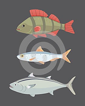 Isolated river fish. Set of freshwater sea cartoon fishes. Fauna ocean vector illustration