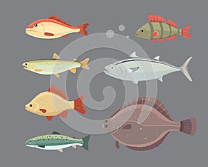 Isolated river fish. Set of freshwater sea cartoon fishes. Fauna ocean vector illustration