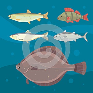 Isolated river fish. Set of freshwater sea cartoon fishes. Fauna ocean vector illustration