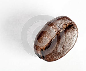 Isolated roasted coffee bean