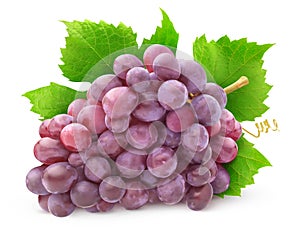 Isolated rose grapes