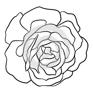 Isolated rose. Outline drawing. Stock vector illustration.