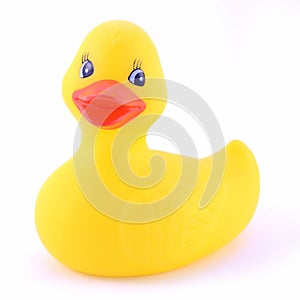 Isolated Rubber Duckie photo