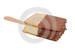 Isolated s mores ice cream sandwich on popsicle stick