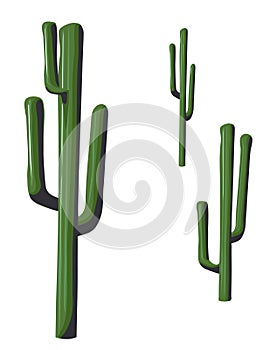 Isolated Saguaro Cactus