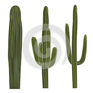 Isolated Saguaro Cactus Set