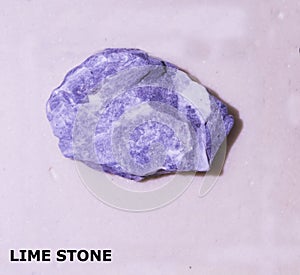 Isolated sample of a Lime Stone rock on texture background. Lime Stone Sedimentary Rock sample. Limestone rock isolated
