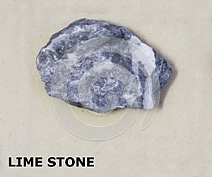 Isolated sample of a Lime Stone rock on texture background. Lime Stone Sedimentary Rock sample. Limestone rock isolated