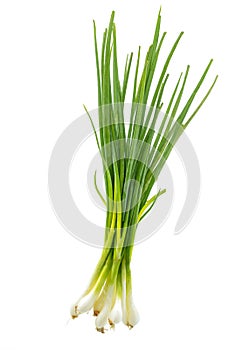 Isolated Scallion or Green onion or Spring onion on white background