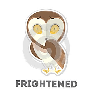 Isolated scared owl.