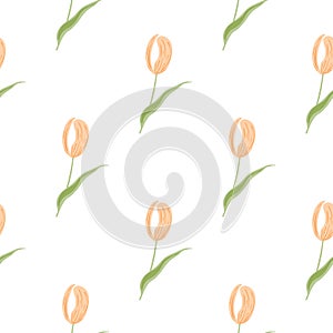 Isolated seamless pattern with pink colored tulip flowers ornament. White background. Floral backdrop