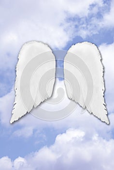 Isolated Separated Angel Wings