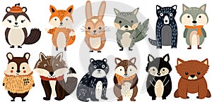 Isolated set with cute woodland forest animals. Cute raccoon, funny rabbit, wolf and bear, adorable hedgehog and other