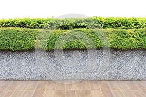 Isolated of set of floor, concrete wall and green plant. Use for decorate in garden or park outdoor