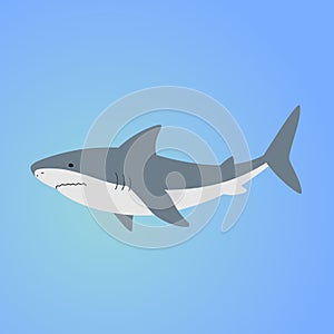 Isolated shark on blue background. Sea animal, fish. Colorful shark in blue ocean