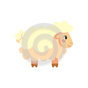 Isolated Sheep Belen vector illustration