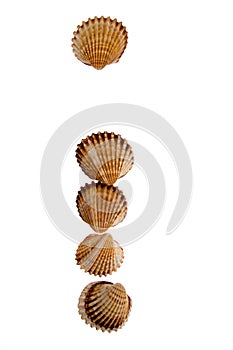 Isolated shell letter I