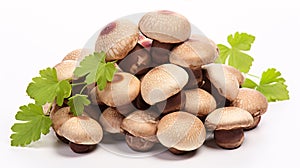 Isolated Shiitake Mushrooms on a pristine white backdrop