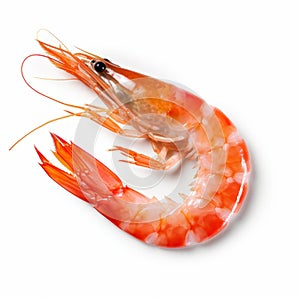 Isolated Shrimp On White Background: Samyang 14mm F28 Style