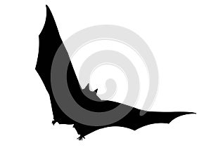 Isolated silhouette of a bat on a white background. Illustration