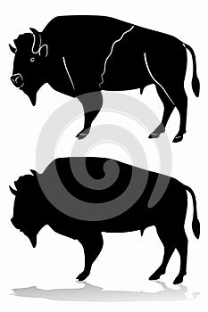 Isolated silhouette of buffalo , vector drawing