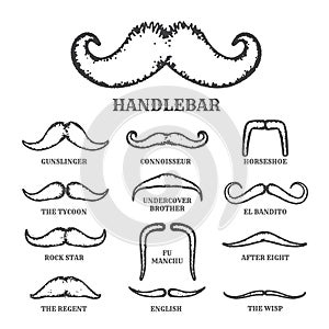 Isolated Silhouette Moustache Collection With Name of Style. Vector Illustration