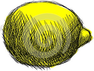 Isolated sketch of lemons