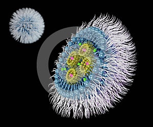 Isolated Small interfering RNA or siRNA, mRNA or CRISPR inside of liposome photo