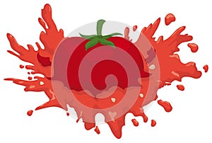 Isolated Smashed Juicy Tomato with some Seeds around it, Vector Illustration