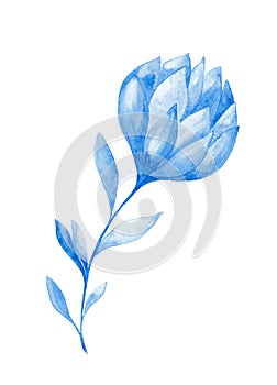 Isolated softness blue floral design elements. Abstract blue flower with leaves on white background.