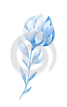 Isolated softness blue floral design elements. Abstract blue flower with leaves on white background.