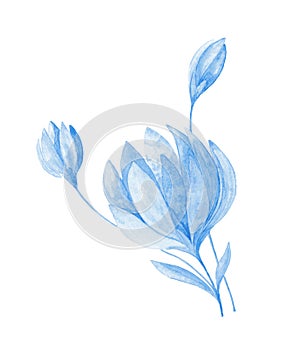 Isolated softness blue floral design elements. Abstract blue flowers on white background.