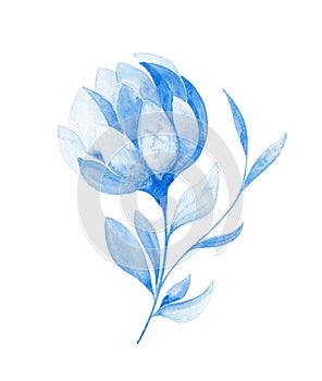 Isolated softness blue floral design elements. Abstract blue flower on white background.