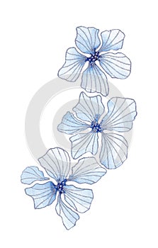 Isolated softness floral set. Blue watercolor flowers with silver contours on white background.