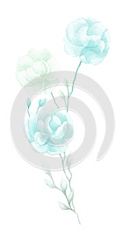 Isolated softness light blue and green colored floral design elements. Light green and blue flowers with leaves on white