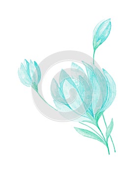 Isolated softness teal colored floral design elements. Abstract turquoise flowers with bud and leaves on white background