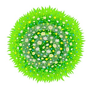 The isolated sphere from a green grass and flowers