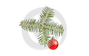 isolated spruce branch with christmas toy red ball on white background