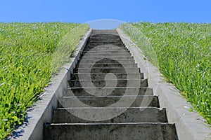 Isolated stairs, green grass, blue sky