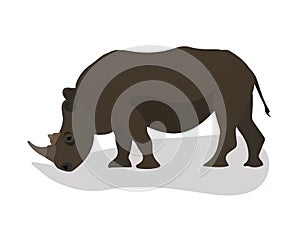 Isolated standing brown rhino. Vector illustration in flat style. White background