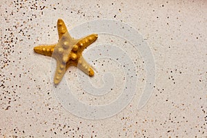 Isolated starfish in the sand