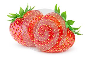Isolated strawberries photo
