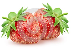 Isolated strawberries. Two whole strawberry fruits isolated on white background with clipping path.